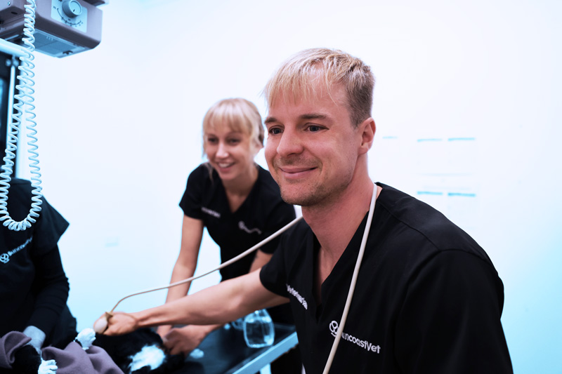 Veterinarian smiling while examining a dog with a colleague assisting SuncoastVet