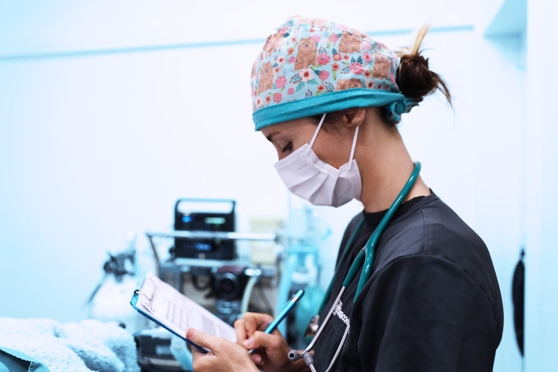 Vet in floral surgical cap and mask writing on clipboard in surgery room