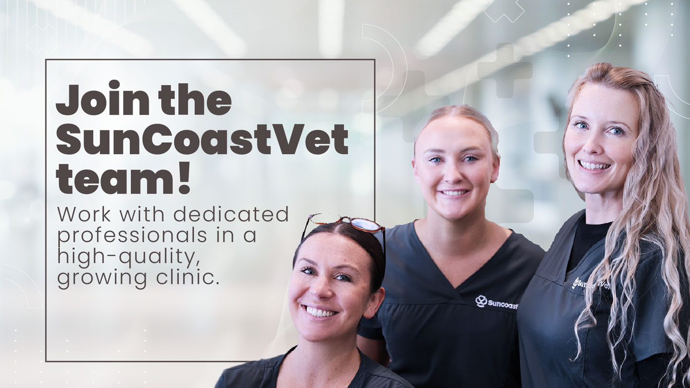 SuncoastVet careers banner with three smiling team members and Join the Team message